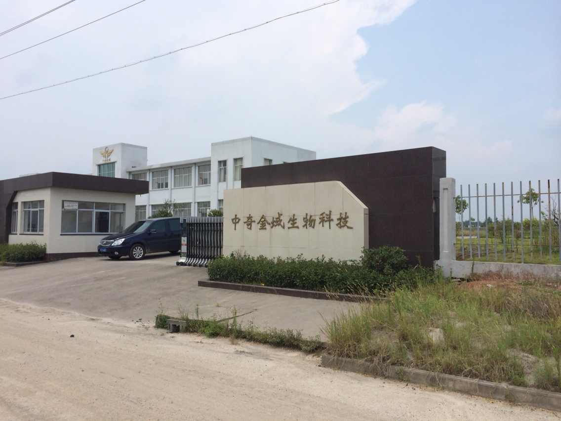 公司环境